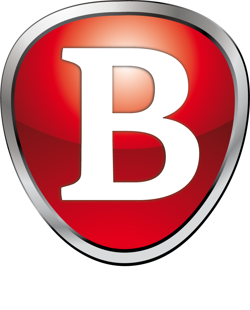 Bikas Gruppo White Logo
