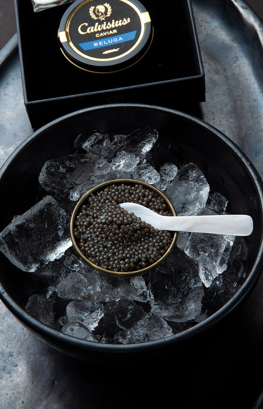 Calvisius