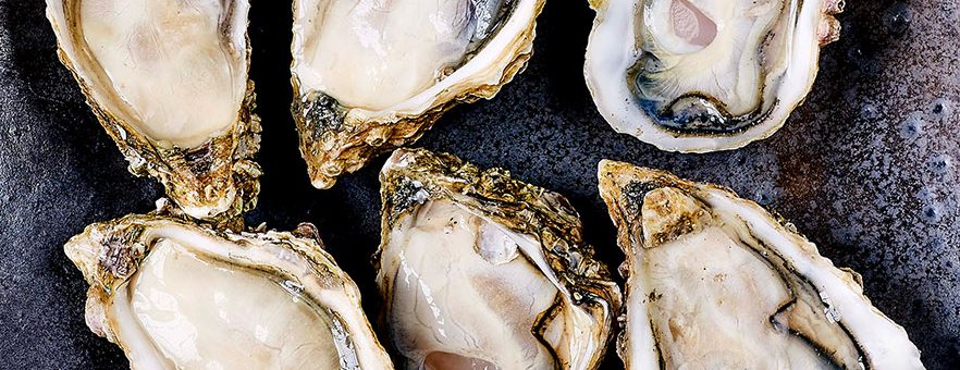 Half Shell Oysters